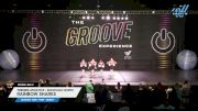 Premier Athletics - Knoxville North - Rainbow Sharks [2025 Mini - Prep - Variety Day 2] 2025 GROOVE Dance Grand Nationals