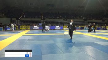 ORLANDO FERNANDO CASTILLO ANDAVI vs BRANDON WOODLY WALENSKY 2019 Pan Jiu-Jitsu IBJJF Championship