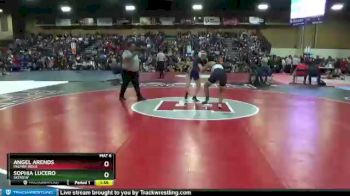 136 lbs Champ. Round 1 - Angel Arends, Palmer Ridge vs Sophia Lucero, Skyview