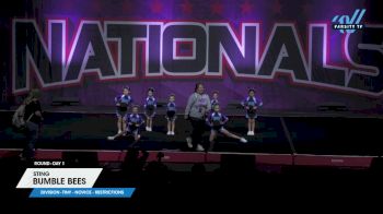 Sting - Bumble Bees [2025 L1 Tiny - Novice - Restrictions Day 1] 2025 JAMfest Cheer Super Nationals