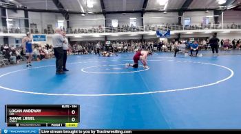 184 lbs Champ. Round 2 - Shane Liegel, Loras vs Logan Andeway, Coe