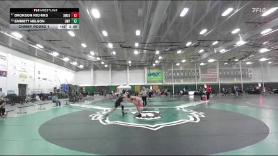 141 lbs Champ. Round 1 - Bronson Richins, Southwest Minnesota State vs Emmett Nelson, UW-Parkside