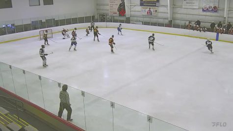Replay: Home - 2024 Punisher Hockey vs US Express | May 12 @ 12 PM