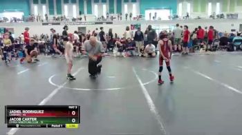 52-56 lbs Quarterfinal - Jadiel Rodriguez, Caveman vs Jacob Carter, Citrus Wrestling Club