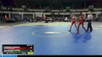 138 lbs Champ. Round 2 - Delvecchio Alston, Hewitt Trussville vs Cameron Gandolfi, Archbishop Rummel