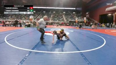 100 lbs Quarterfinal - Trinity Warner, Cheyenne South vs Carlee Angell, Star Valley