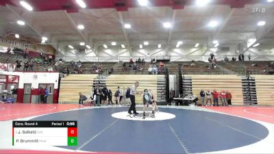 113 lbs Cons. Round 4 - James Logan Salkeld, Warrior Nation Wrestling Club vs Peyton Brummitt, Perry Meridian Wrestling Club