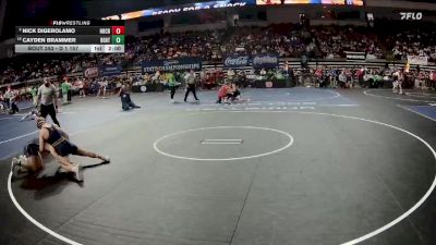 D 1 157 lbs Champ. Round 2 - Cayden Brammer, Benton vs Nick DiGerolamo, Holy Cross