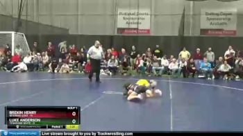 90 lbs Round 1 (4 Team) - Luke Anderson, Tennessee White vs Brekin Henry, Wyoming Gold