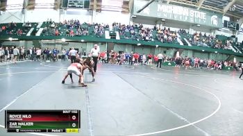 149 lbs Quarterfinal - Royce Nilo, Wisconsin vs Zar Walker, Michigan