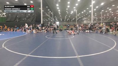79 lbs Rr Rnd 5 - Blake Kane, Apache - EL vs Dominic Antonelli, Malvern Youth Club - EL