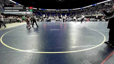 65 lbs Consy 3 - Cameron Doroshenko, North Pocono vs Bronson Perkins, Valley