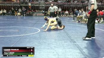 1A-132 lbs Cons. Round 2 - Cooper Franklin, Alburnett vs Tully Wood, Wayne, Corydon