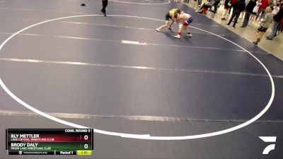 102 lbs Cons. Round 5 - Bly Mettler, Lake Crystal Wrestling Club vs Brody Daly, Prior Lake Wrestling Club