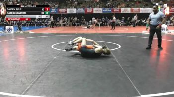 133 lbs Semis & Wb (16 Team) - Caiden Pelc, Newberry College vs Nate Knowlton, Findlay University