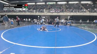 54 lbs 7th Place - Dominic Paparello, Bristol vs Lincoln Young, Huntingdon
