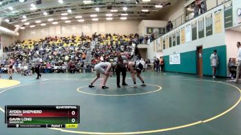 132 lbs Quarterfinal - Gavin Long, BARBERTON vs Ayden Shepherd, NORWAYNE