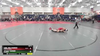 165 lbs Cons. Round 3 - Ethan Tanner, Norwich vs Joel Zea Marino, Oneonta State