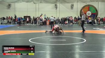 141 lbs Quarterfinal - Tanner Smith, Adrian vs Evan Burge, Wabash