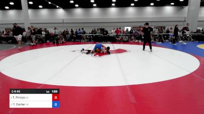 113 lbs C-8 #2 - Tyler Prinzo, Georgia vs Tristan Carter, Virginia