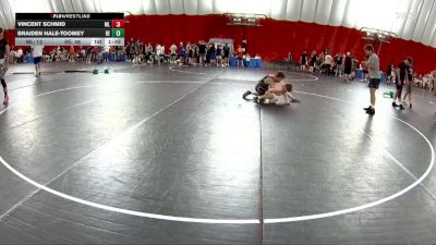 120 lbs Semis & Wb (16 Team) - Braiden Hale-Toomey, Reedsburg vs Vincent Schmid, Mille Lacs