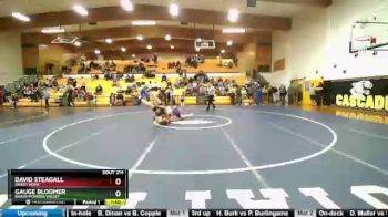 195 lbs Quarterfinal - Gauge Bloomer, Baker/Powder Valley vs David Steagall, Sweet Home