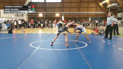 119 lbs Round Of 16 - Dominick Morrison, Hatboro Horsham Warriors vs Brody Dicaprio, Cba/ Journeymen