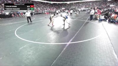 D3-150 lbs Semifinal - Trevor Paulson, Aquinas vs Collin Hamm, Weyauwega-Fremont