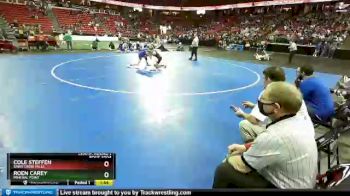 D3-106 lbs Champ. Round 1 - Cole Steffen, Saint Croix Falls vs Roen Carey, Mineral Point