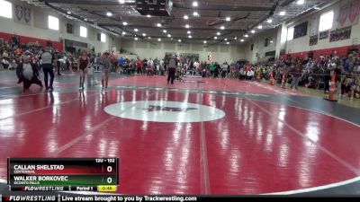 102 lbs Cons. Round 3 - Callan Shelstad, Centennial vs Walker Borkovec, Oconto Falls