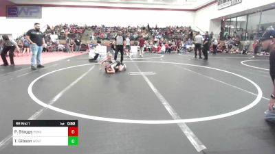 60-66 lbs Rr Rnd 1 - Piper Staggs, Ponca City Wildcat Wrestling vs Taiclyn Gibson, Wolfpak Wrestling