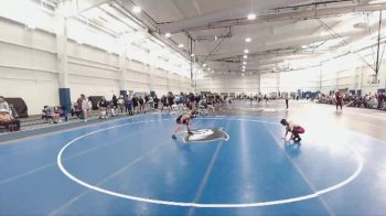 125 lbs Semifinal - Ethan Liptzin, Delaware Valley vs James McGinty, Stevens Tech