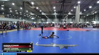 45 lbs Placement (4 Team) - Hudson O`Connor, BLACKHAWK WC vs Vincent Custodio, GREAT BRIDGE WRESTLING CLUB