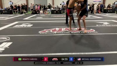 Renato Cardoso vs Michael Gianvecchio 2025 ADCC New Jersey Open