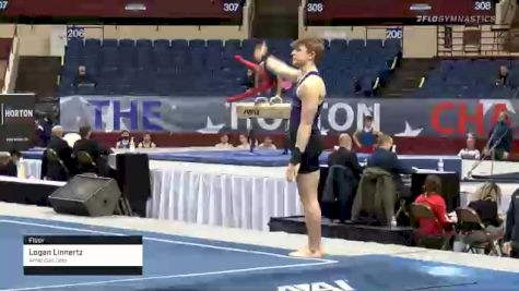 Logan Linnertz - Floor, American Gold