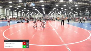 132 lbs Rr Rnd 2 - Cael Harmon, Signature Wrestling Academy vs Riley Halal, Iron Horse Gold