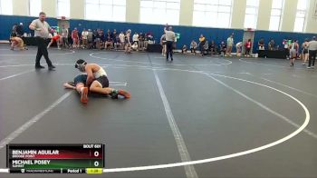 138 lbs Prelim - Benjamin Aguilar, Brooke Point vs Michael Posey, Summit