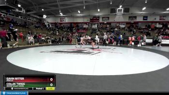 133 lbs Cons. Round 4 - Collin Twigg, Grand Valley State vs Gavin Ritter, Findlay