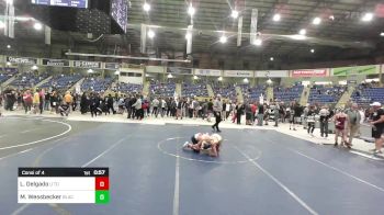 86 lbs Consi Of 4 - Luis Delgado, U Town Hammers vs Maddox Wessbecker, Black Fox Wr Ac