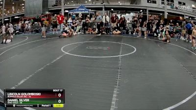 100 lbs Round 5 (8 Team) - Lincoln Golomboski, Buffalo Valley WC vs Daniel Silver, Ohio Gold