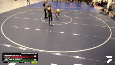 88 lbs Quarterfinal - Mason Goblirsch, Wabasso vs Weston Sprabary, Roseau