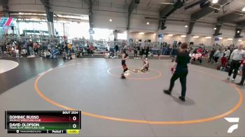 65 lbs Cons. Round 4 - David Olofson, Texas Elite Wrestling Club vs Dominic Russo, Wildcat Wrestling Club