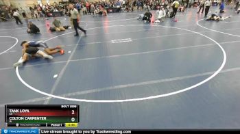 132 lbs Cons. Round 3 - Colton Carpenter, IA vs Tank Loya, CA