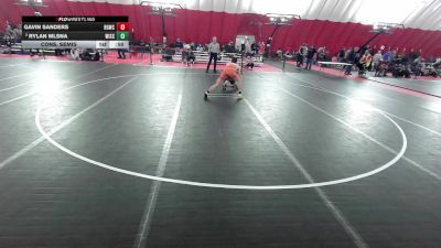 16U Boys - 132 lbs Cons. Semis - Rylan Mlsna, Wisconsin vs Gavin Sanders, Big Game Wrestling Club