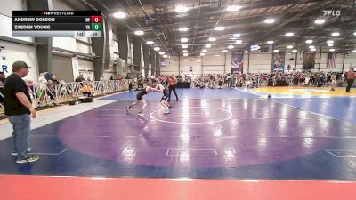 85 lbs Consi Of 16 #1 - Andrew Dolson, NY vs Zaeden Young, VA