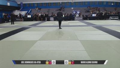 MARIO ALBINO SILVINO vs JOEL DOMINGUES JIU-JITSU 2026 Carlson Gracie