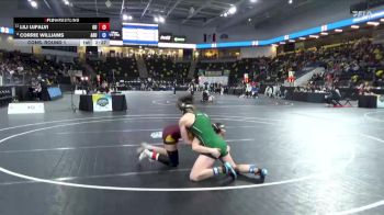 138 lbs Cons. Round 1 - Lili Ujfalvi, Gannon University vs Corrie Williams, Adams State