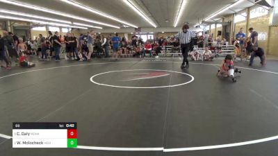 66 lbs Semifinal - Cael Daly, Newark Valley vs Wes Molocheck, Hegins