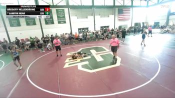 111-119 lbs Quarterfinal - Landon Near, Newman Central Catholic vs Gregory Hellendrung, Mollitium Wrestling Club