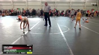 60 lbs Round 4 (6 Team) - Cole Lebec, South Hills vs Maven Saferite, NOVA Wrestling Club